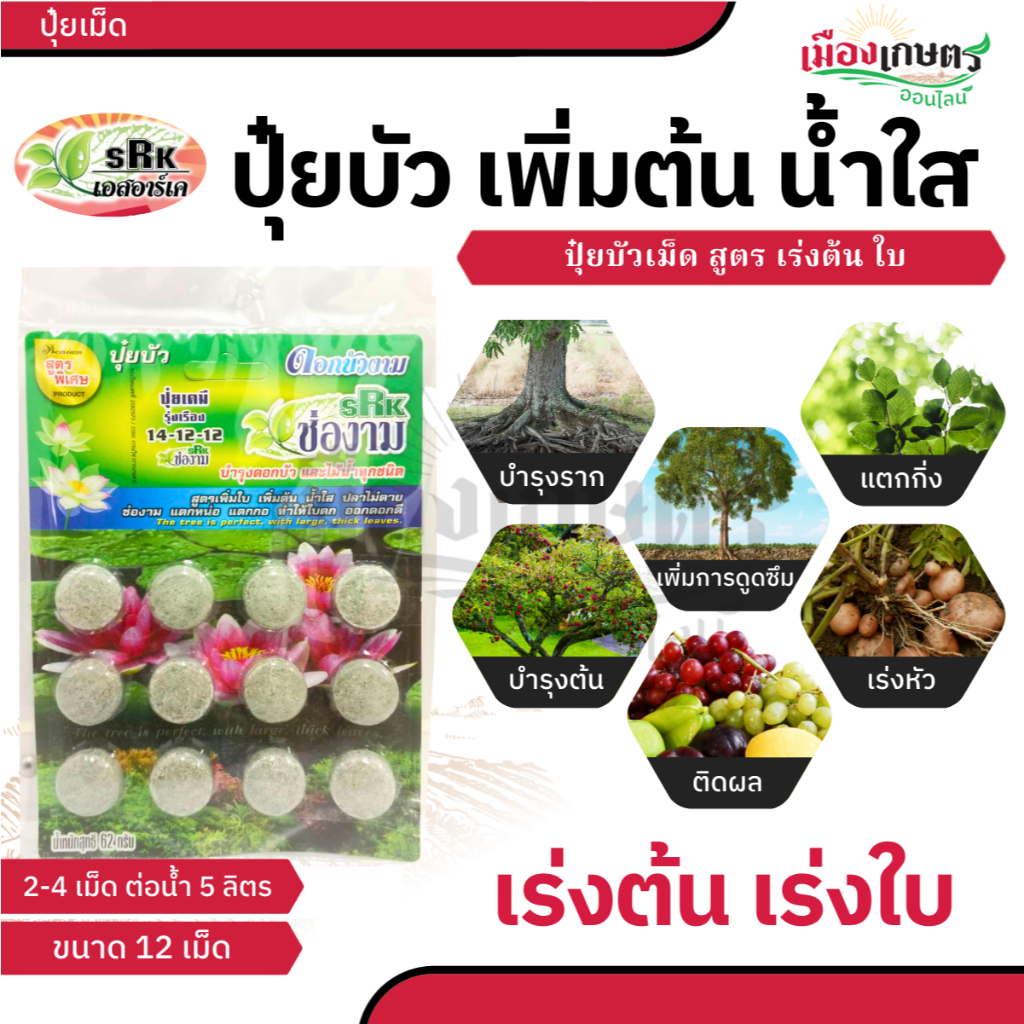 ช่องาม ปุ๋ยบัว สูตรดอก สูตรใบ ปุ๋ยบัว ขนาด 12 เม็ด ช่วยให้ บัวเติบโต ดอกสวย เร่งดอก เร่งต้น เร่งใบ