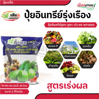 ปุ๋ยอินทรีย์อัดเม็ด ช่องาม สูตรเร่งผล บำรุงใบ เร่งดอก ขนาด 1 กิโลกรัม ออสโมโค้ท ปุ๋ย ปุ๋ยเม็ด เร่งผล ขยายผล เร่งใบ