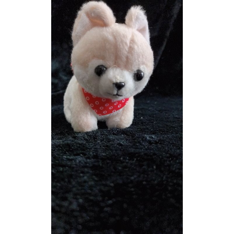 พวงกุญแจ Amuse Plush Toy Mameshiba Brothers (Mameshiba San Kyodai) - Sasuke
