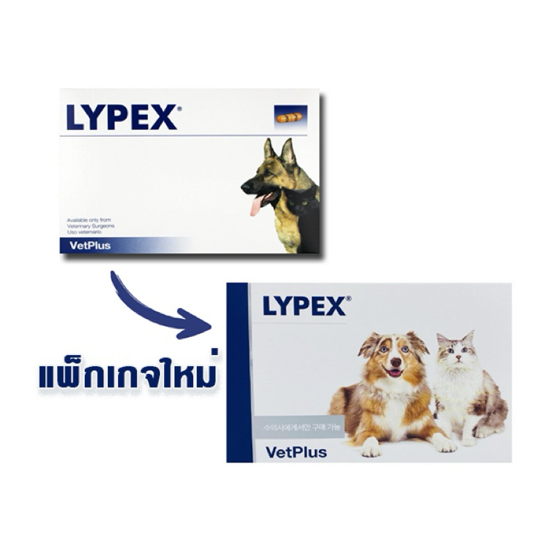 Vetplus LYPEX สําหรับสุนัขและแมว (60 แคปซูล) - แคปซูลเอนไซม์แพนเครทติก - ส่งเสริมสุขภาพทางเดินอาหาร