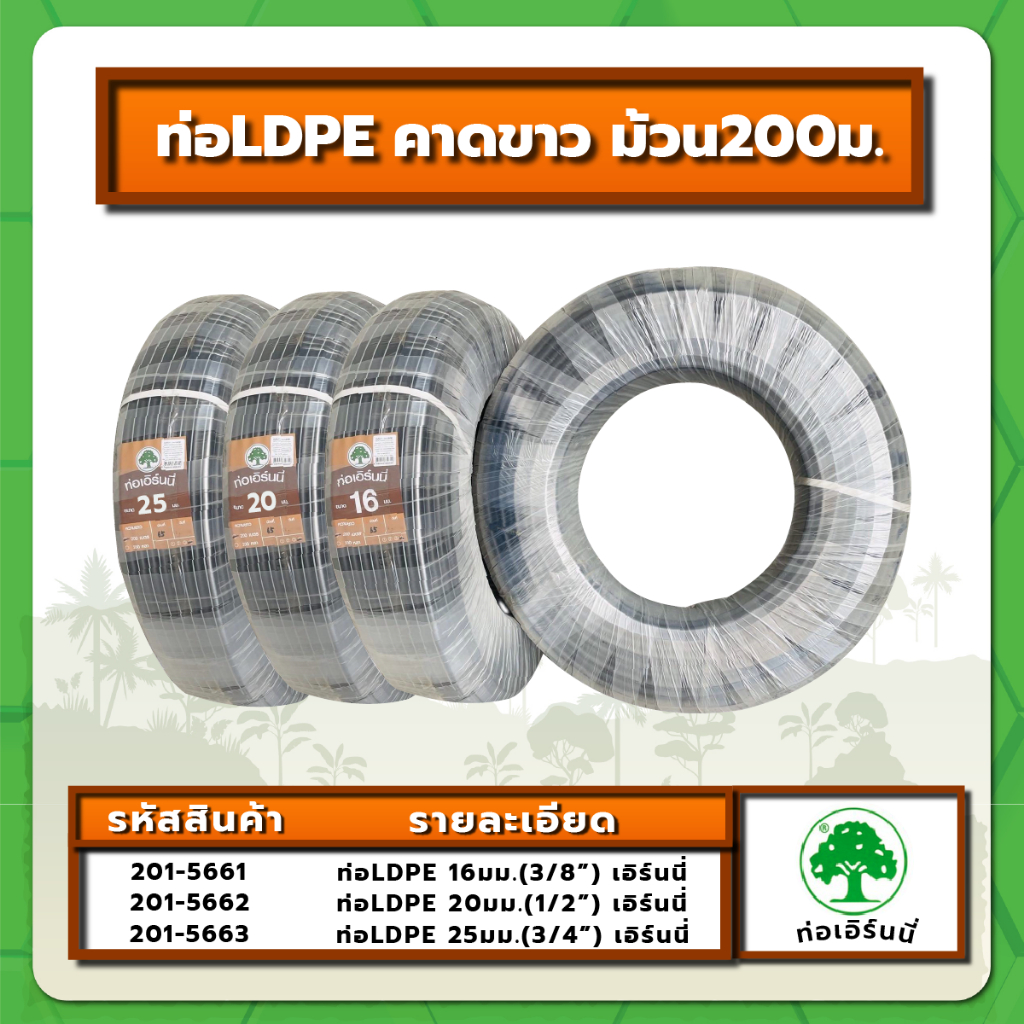 ท่อ LDPE คาดขาว ม้วน200ม. เอิร์นนี่