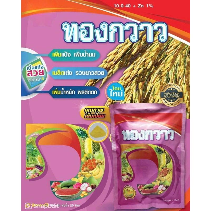 ทองกวาว ลมเบ่ง เพิ่มแป้ง เพิ่มน้ำหนัก