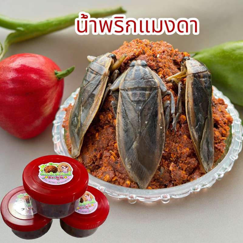 น้ำพริกแมงดา ใช้แมงดาตัวผู้ตำผสม เผ็ดกลางกำลังดี ทำใหม่สด ไม่ใส่วัตถุกันเสีย