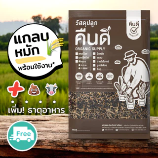 ส่งฟรี ‼️ | แกลบหมัก แกลบเก่า หมักขี้วัวเสริมแร่ธาตุ | พร้อมใช้งาน ผสมดินปลูกเพิ่มความโปร่ง 🌾