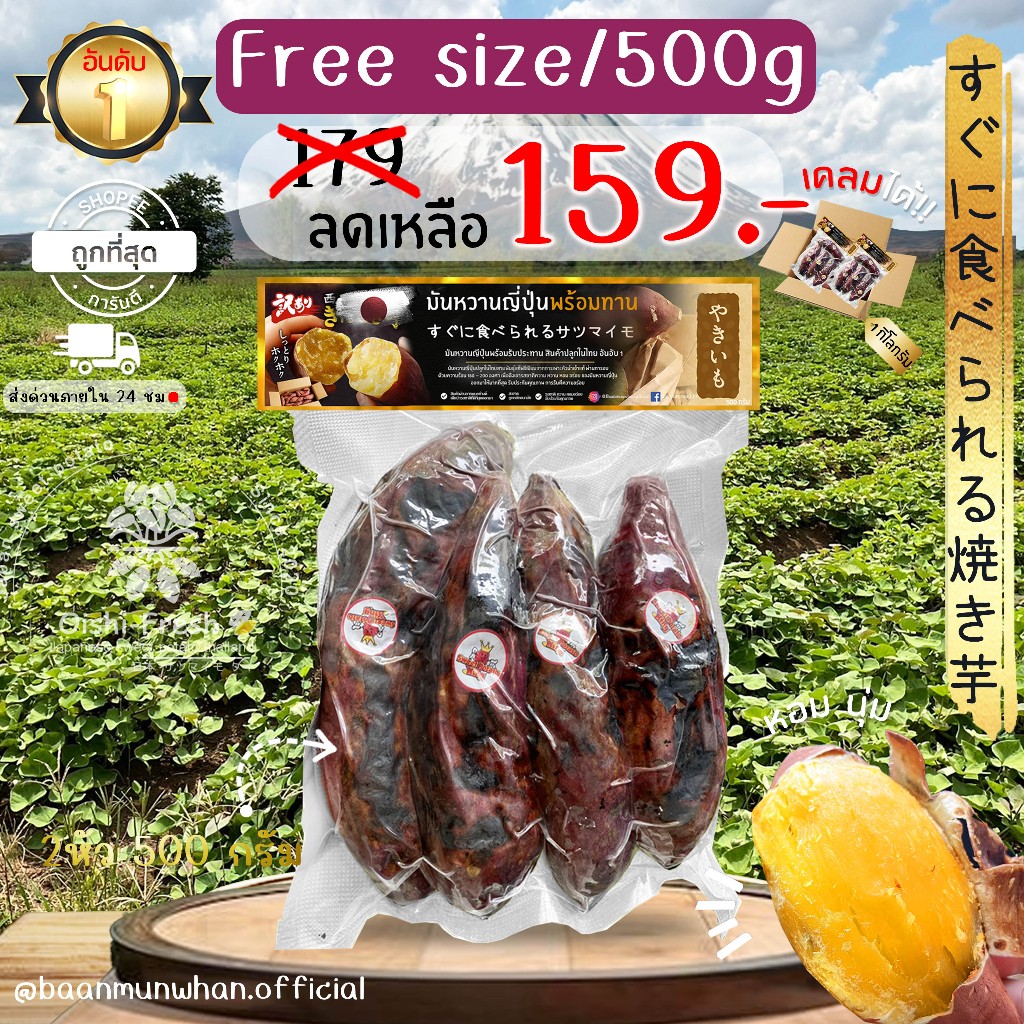️ถูกสุด️ Sweet king ปลูกไทยมันหวานญี่ปุ่น 500 กรัม 2-3 หัว เผาพร้อมทานเนื้อเหลือง นุ่ม หอม ฉ่ำ หวาน สินค้าเคลมได้