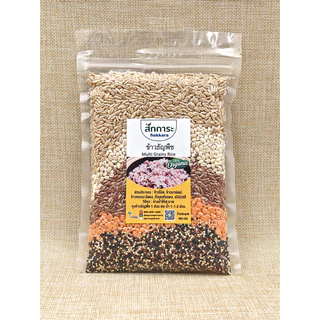 ข้าวธัญพืช พร้อมหุง บรรจุ 280 กรัม Multi Grains Rice 280g มีธัญพืช 5 ชนิด