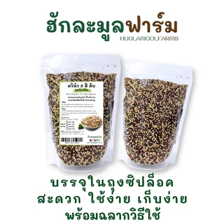 ควินัว 3สี ควินัวออร์แกนิค 240 800กรัม ของใหม่ กลิ่นหอม ไม่แข็ง ควินัวสามสี เด็ก