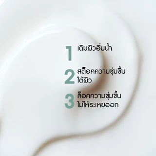 อีฟ โรเช Yves Rocher Hydra Vegetal 100h Non-Stop Intense Moisturizing Care 75 มล. มอยส์เจอไรเซอร์ ครีม