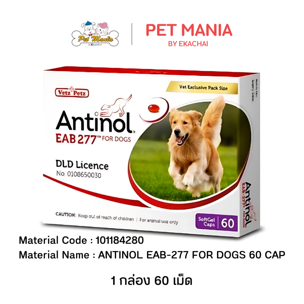 ซื้อ Antinol  For Dog 60 Cap ( อาหารเสริมบำรุงข้อสำหรับสุนัข 1กล่อง บรรจุ 60 เม็ด )