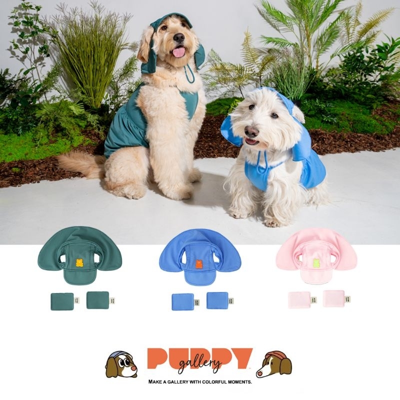New in ใหม่! Puppy gallery Jelly bear Sun Hat หมวกเย็นสำหรับสัตว์เลี้ยง ดีไซน์ใหม่ ป้องกันแดดได้ดีเยี่ยม