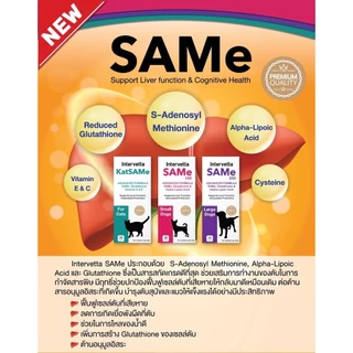SAMe Intervetta 🔥Exp.2027 อาหารเสริม วิตามิน บำรุงตับ สัตว์เลี้ยง สุนัข แมว Liver supplement