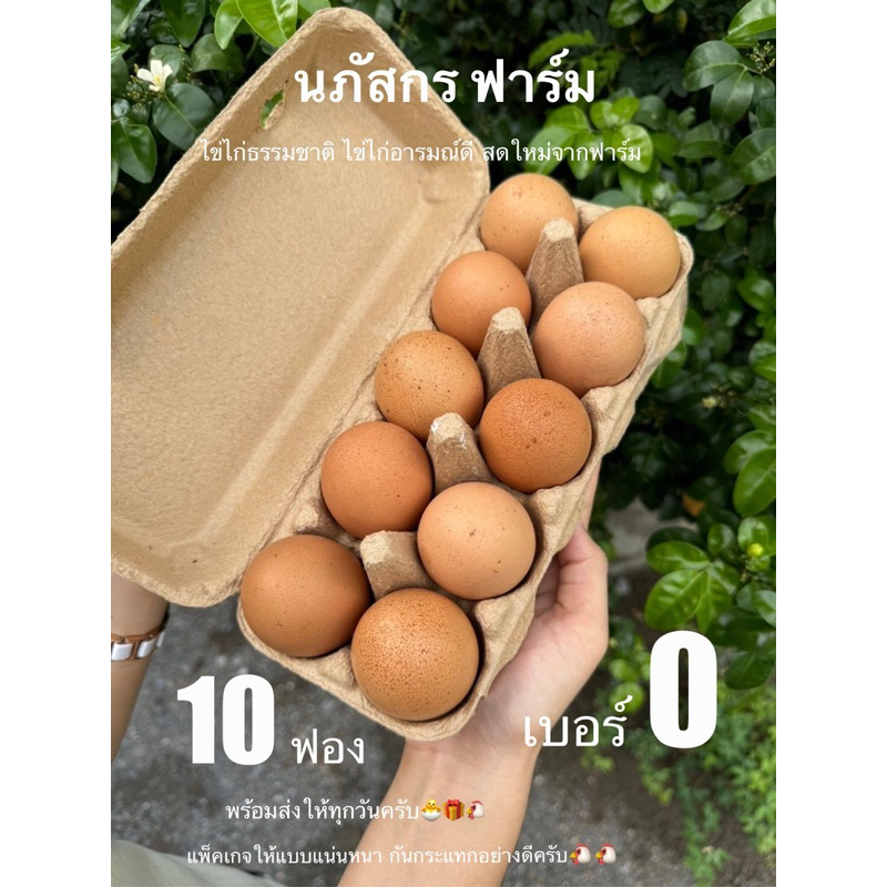 ไข่ไก่โครตอารมย์ดี เบอร์0 (10ฟอง) เก็บจากฟาร์ม