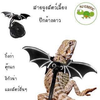 Nomoy Pet สายจูงสัตว์เลี้ยง ปีกค้างคาว