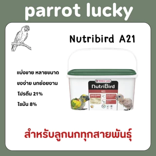 🔥ลดแหลก🔥 โปร 12/12 Nutribird อาหารนกลูกป้อนสูตรนกทั่วไป Nutribird A21 แบ่งขายของแท้นำเข้าจากบริษัทภมรชัย