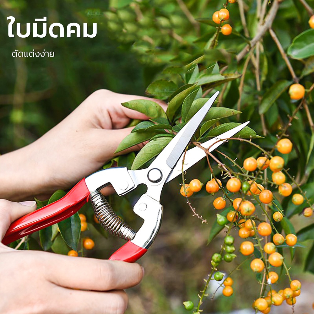 Mitsushi 8 นิ้ว กรรไกรตัดแต่งกิ่งไม้ อเนกประสงค์ หัวตรง กรรไกรตัดหญ้า ผลไม้ การต่อกิ่งต้นไม้  กรรไกร