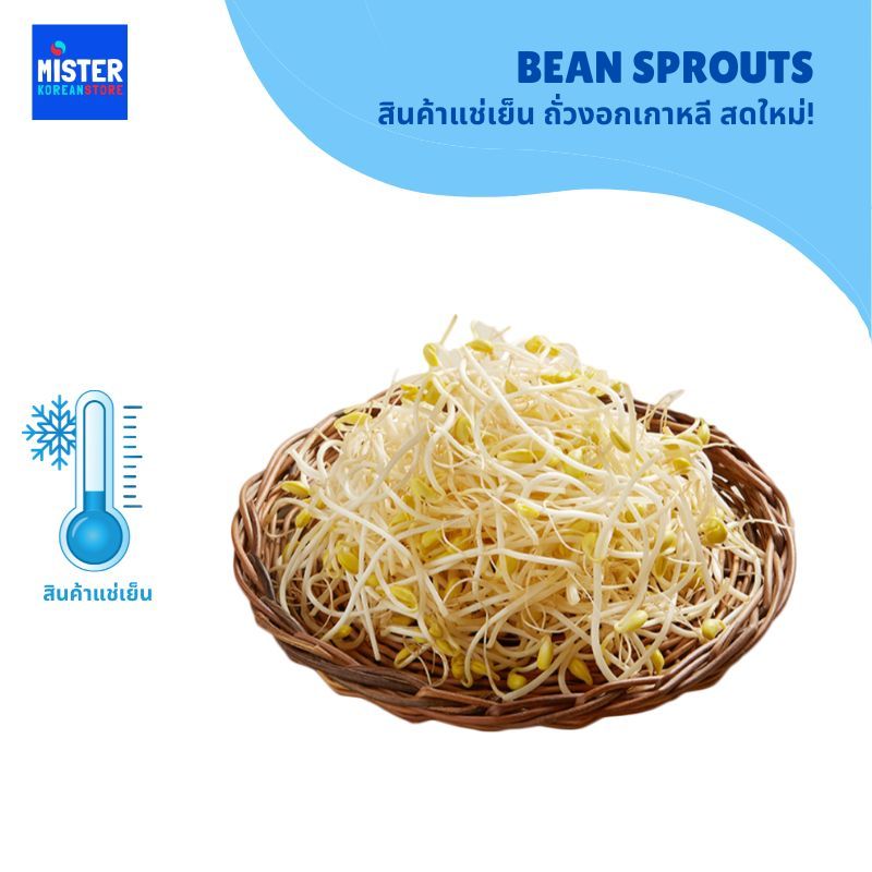 ❗ (สินค้าเข้าทุกวันอังคาร,ศุกร์) 🆒สินค้าแช่เย็น ถั่วงอกเกาหลี สดใหม่! BEAN SPROUTS 콩나물