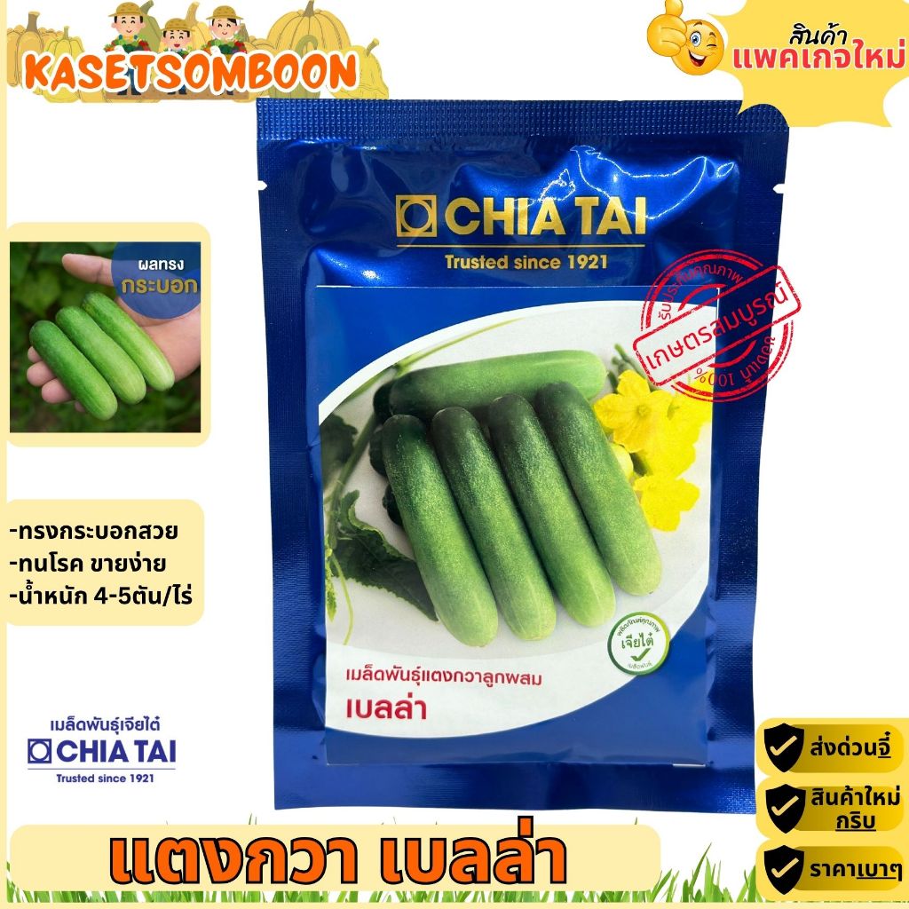 แตงกวาเบลล่า เมล็ดพันธุ์แตงกวา 50 ก. ตราเจียไต๋ ผสสีเขียว ยาว 12 ซม.​