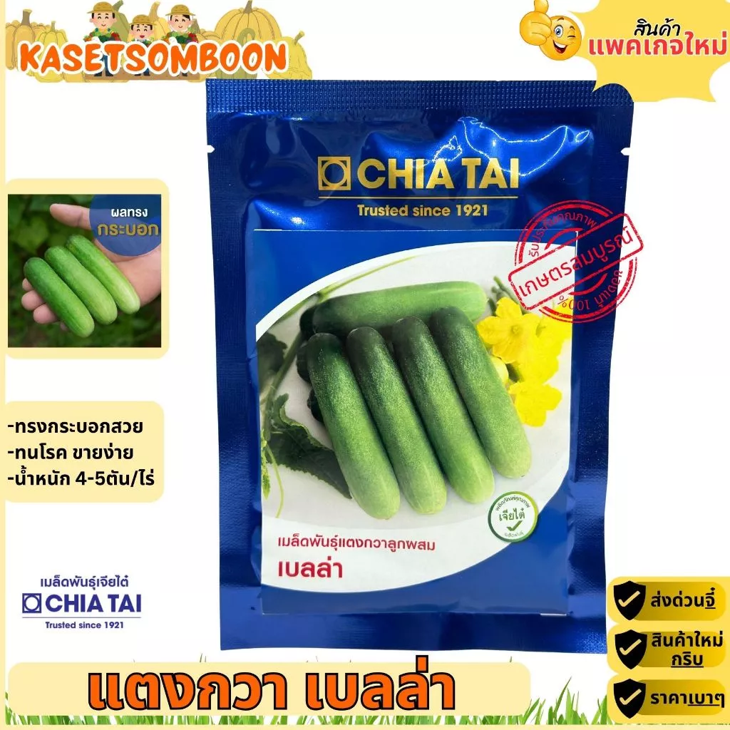 แตงกวาเบลล่า เมล็ดพันธุ์แตงกวา 50 ก. ตราเจียไต๋ ผสสีเขียว ยาว 12 ซม.