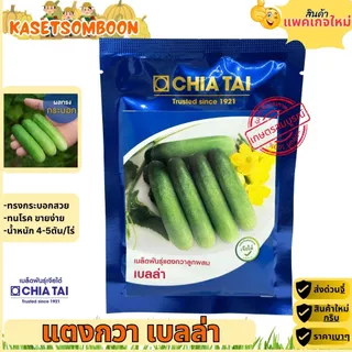 แตงกวาเบลล่า เมล็ดพันธุ์แตงกวา 50 ก. ตราเจียไต๋ ผสสีเขียว ยาว 12 ซม.​
