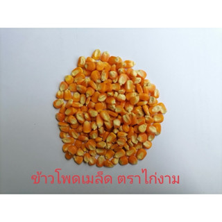 ข้าวโพดเมล็ด ข้าวโพดเลี้ยงสัตว์ 1กก
