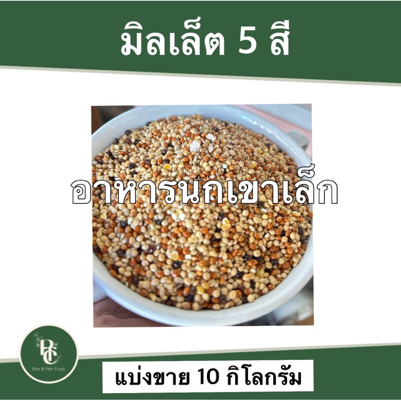 อาหารนกเขาเล็ก แบบแบ่ง 10 kg