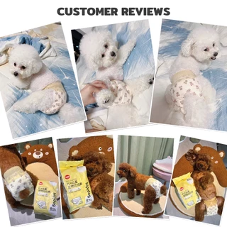 PetStern XS-XL ขนาด ผ้าอ้อมน้องหมา สุนัขดึงกางเกงและผ้าอ้อมสําหรับสัตว์เลี้ยง ดึงผ้าอ้อมผ้าอนามัยสําหรับสุนัขและป้า