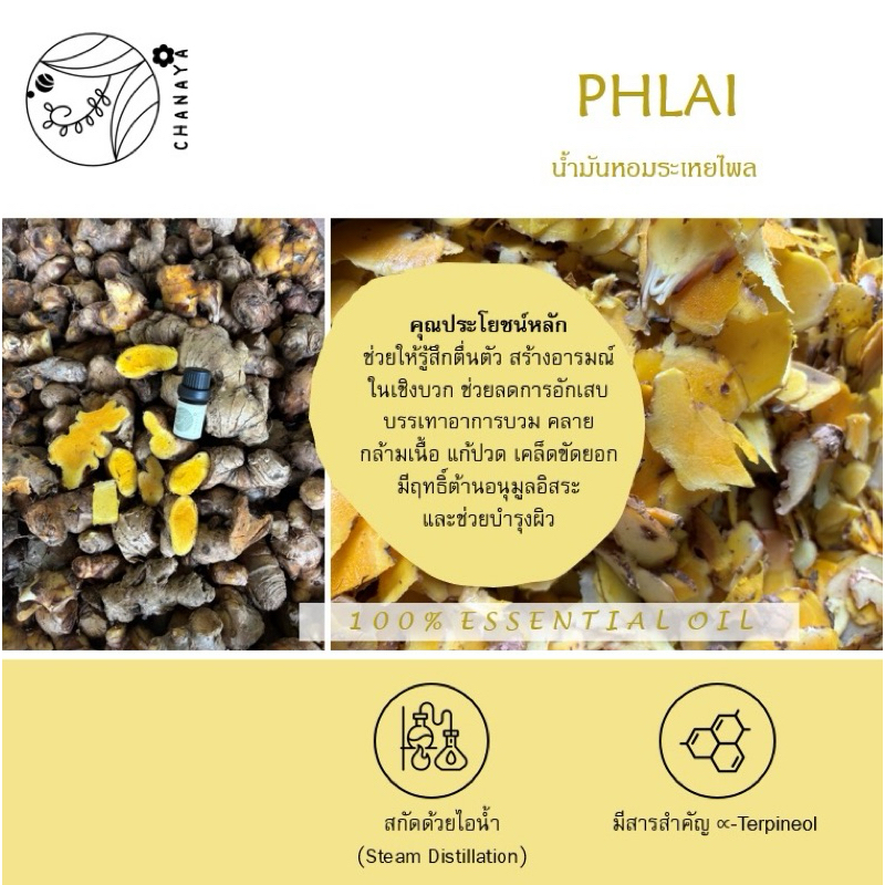 น้ำมันหอมระเหยไพล ชานาญา CHANAYA Phlai 100% Essential Oil