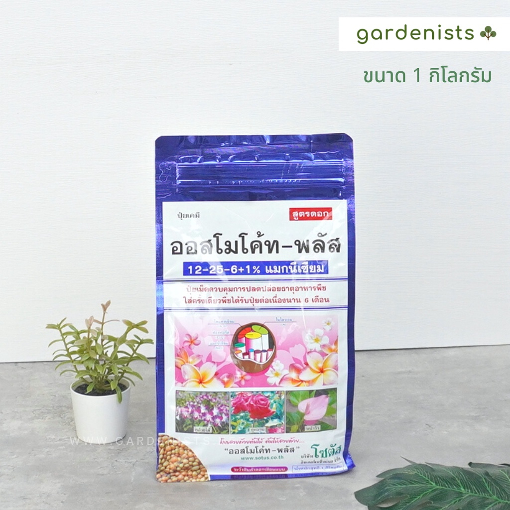 ออสโมโค้ท ปุ๋ยละลายช้า ขนาด 1กิโลกรัม - รูปที่ 3