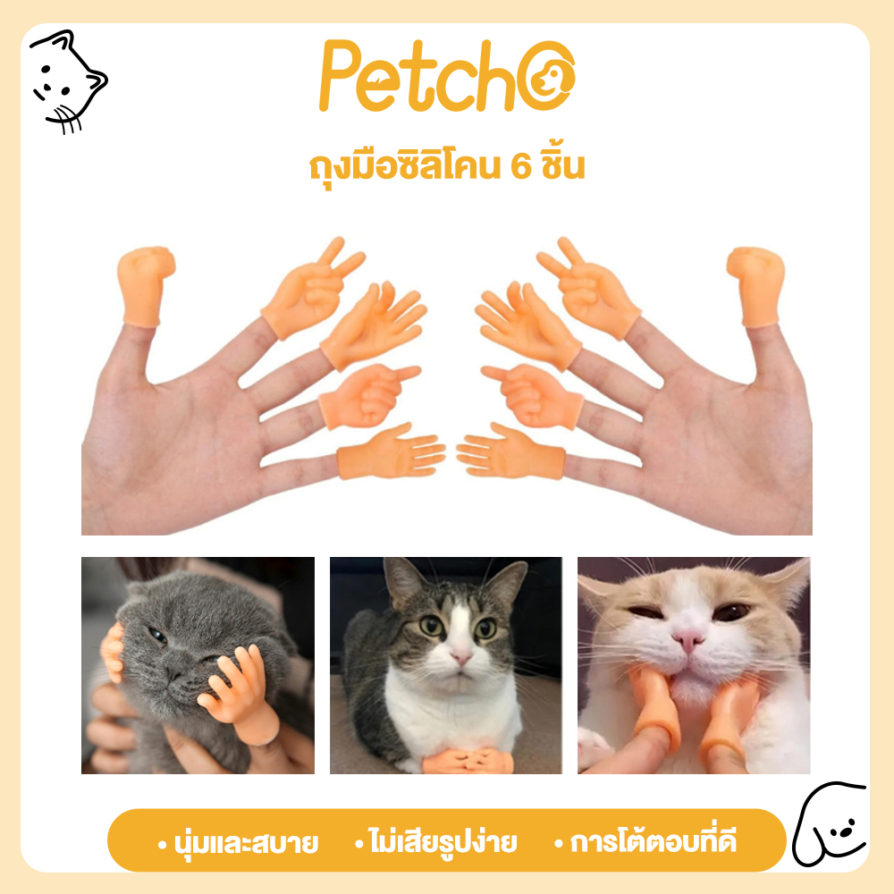 Petcho ของเล่นแมว ของเล่นสําหรับสัตว์เลี้ยง ถุงมือมินิ ถุงมือสวมนิ้วสำหรับแมว ราคาถูก จํานวน 6 ชิ้น