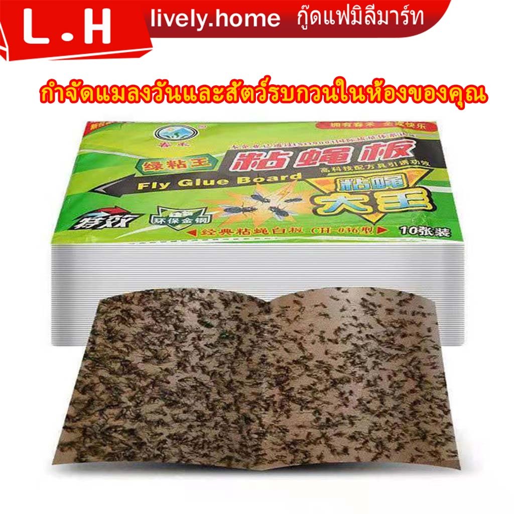แผ่นกาวดักแมลงวันผลไม้ 10 ชิ้น แผ่นดักแมลงวันและหนู แผ่นกำจัดแมลงพับได้ ราคาถูก กาวเหนียว10 เท่า