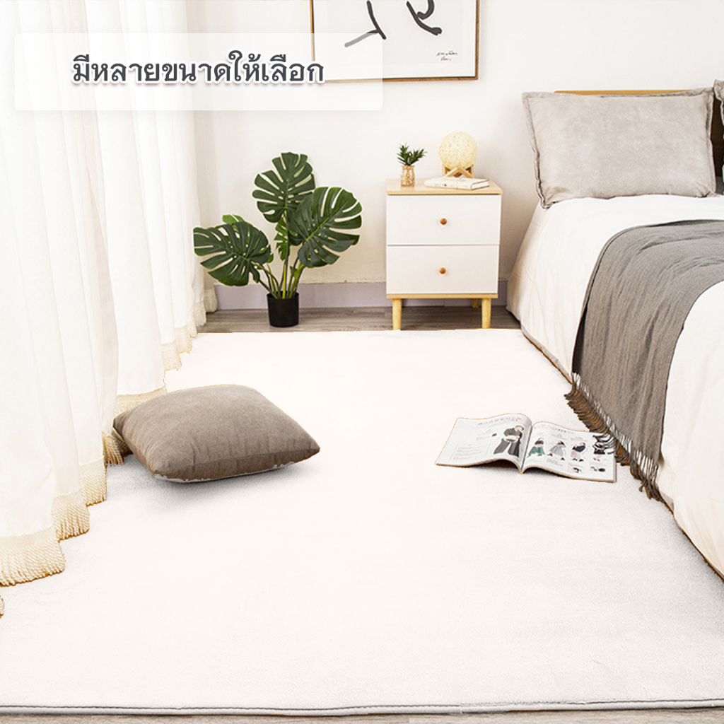 พรมปูพื้นห้อง พรมมินิมอล พรมตกแต่ง พรมขนสั้น วัสดุขนแกะปะการัง พรม 5 ฟุต 6 ฟุต รูปที่ 3