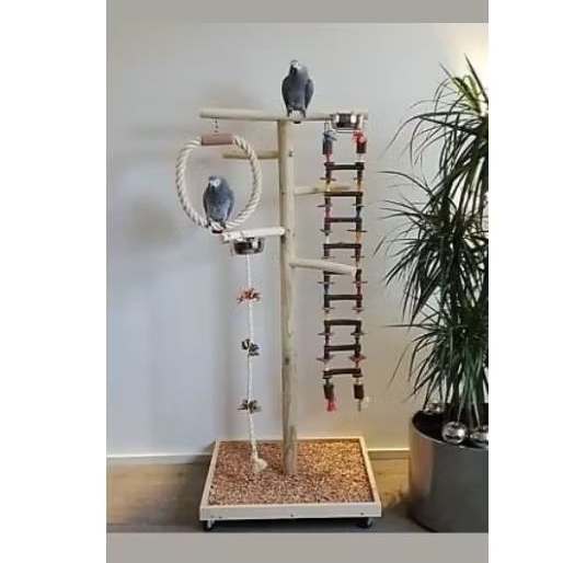 คอนนกสำหรับนกตัวเล็กตัวใหญ่เกาะคอนเล่นความสูง 100 cm 120 cm 150 cm(ขาเดี่ยว)
