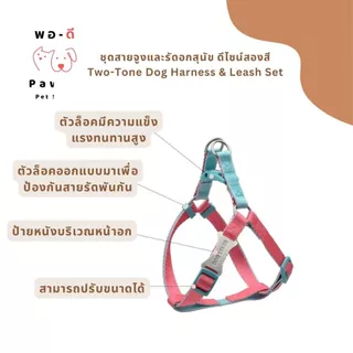 PAW-D ชุดสายจูงและรัดอกสุนัข ดีไซน์สองสี Two-Tone Dog Harness & Leash Set