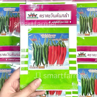 อัมพวาโกลด์ 5,20และ50 กรัม เมล็ดพริกลูกผสม ตราตะวันต้นกล้า
