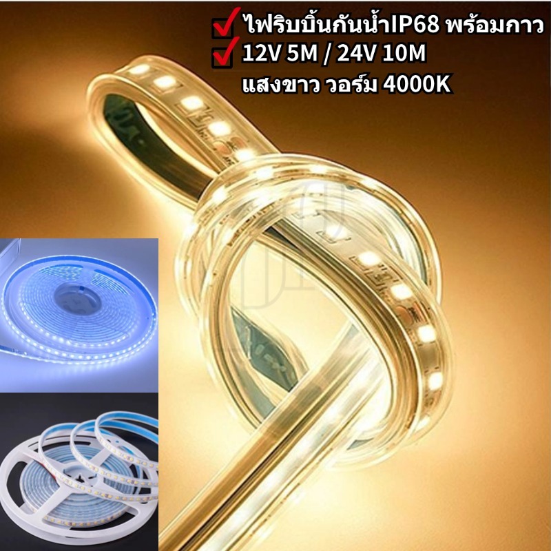 ไฟริบบิ้น กันน้ำIP68 ไฟเส้นLED STRIP LIGHT 2835 รุ่น12V5M รุ่น24V10M LED120/M เคลือบซิลิโคน พร้อมกาวติด
