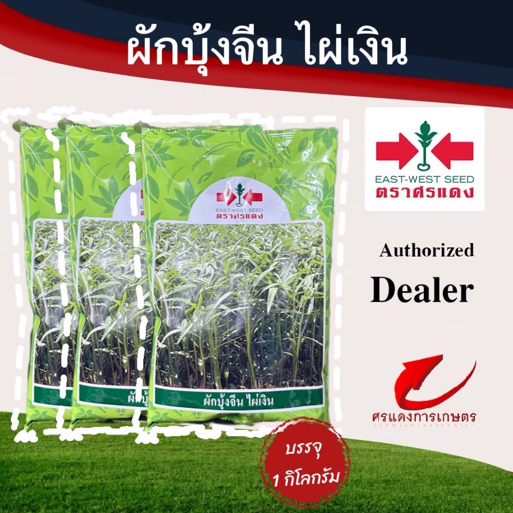 เมล็ดพันธุ์ ผักบุ้งเพชรยอดไผ่ 1kg