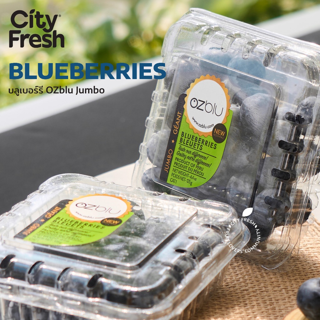 CityFresh บลูเบอร์รี่ OZblu Jumbo 125g. ผลไม้นำเข้า