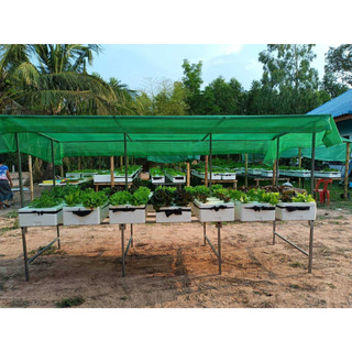 โรงเรือนปลูกผักไฮโดรโปนิกส์ มินิทรงโมเดิร์น วางได้ 14-16 กล่อง (ขนาดกล่องกุ้ง) - เกษตรกรรมยั่งยืน