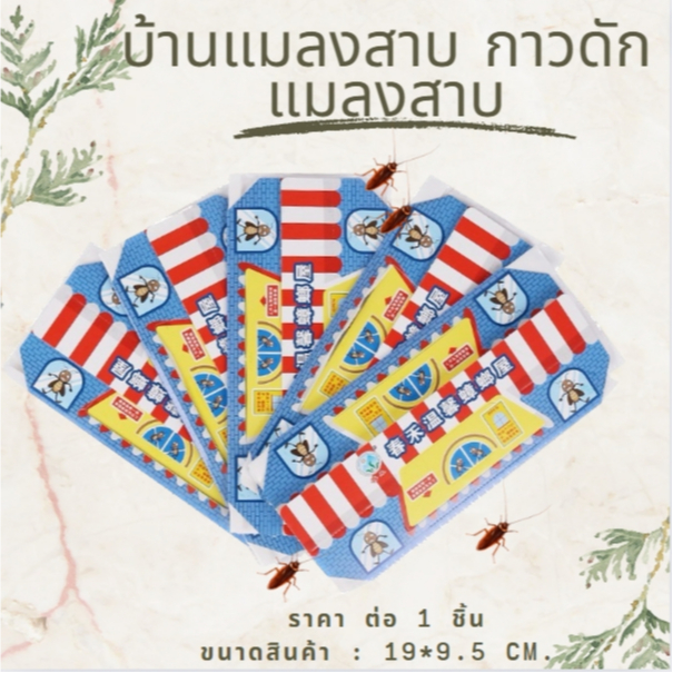 บ้านแมลงสาบ กาวดักแมลงสาบ กำจัดแมลงสาบ ฆ่าแมลงสาบ ดักจิ้งจก ปลอดภัยไม่มีสารเคมี