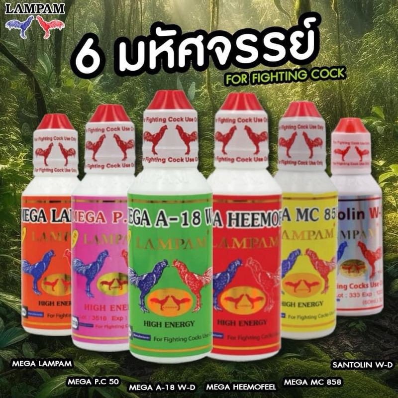 ชุดเลี้ยงพิเศษลำปำ-6มหัศจรรย์