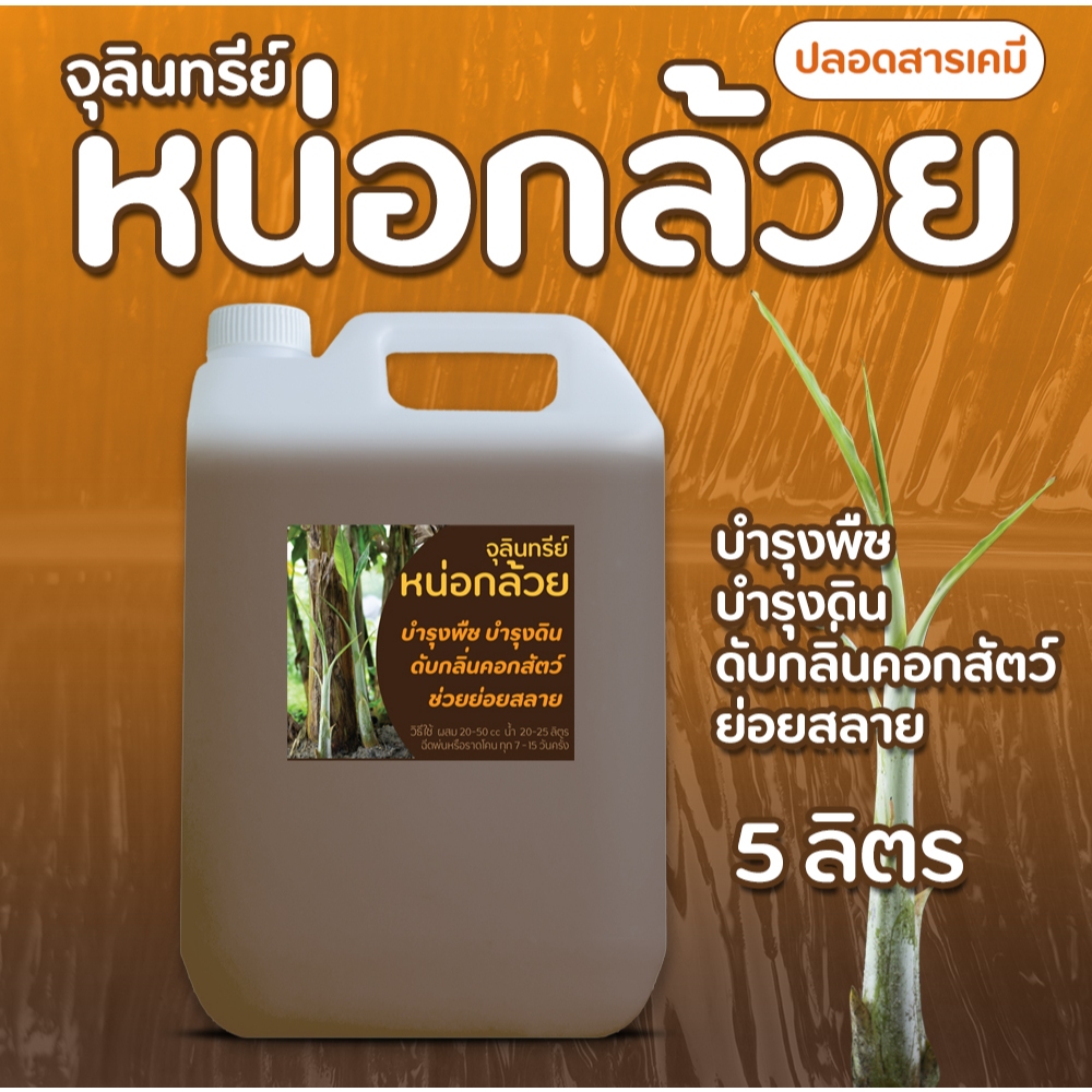 จุลินทรีย์หน่อกล้วย ขนาด 5 ลิตรสูตรเข้มข้น (จำกัด 1 ชิ้น ต่อ 1 คำสั่งซื้อ)