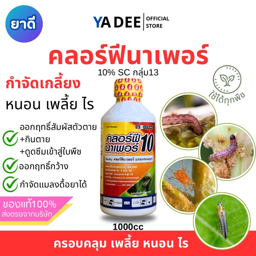 [ยาใหม่ ไม่ดื้อ] คลอร์ฟีนาเพอร์ 1L กำจัดกว้างขวาง หนอน เพลี้ย ไร ตายเรียบ