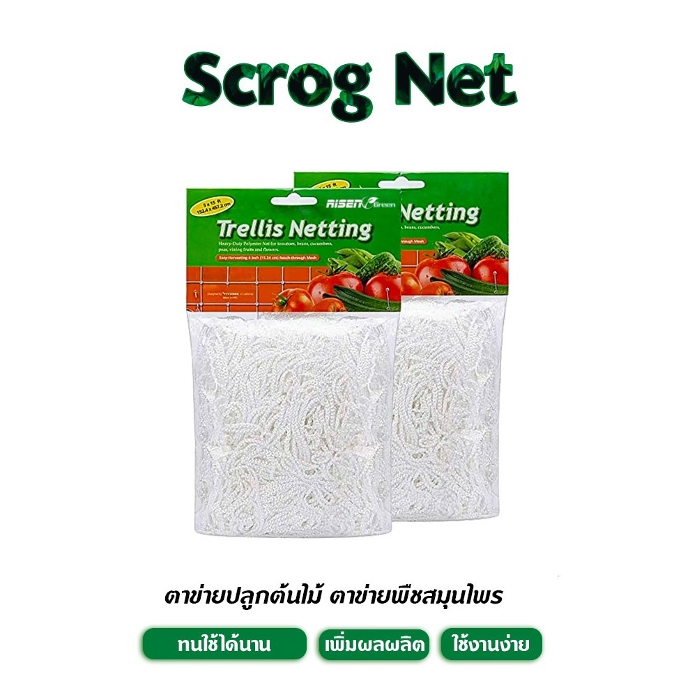 มาใหม่! ส่งไว! Scrog Net | ตาข่ายปลูกต้นไม้ เพิ่มผลผลิต