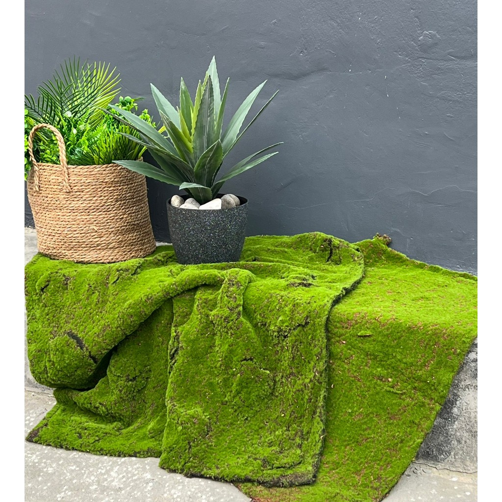 มอสดินจำลอง มอสสีสด ใช้งานได้ยาวนาน  แผ่นหญ้าแต่งสวน (พร้อมส่ง)  Moss