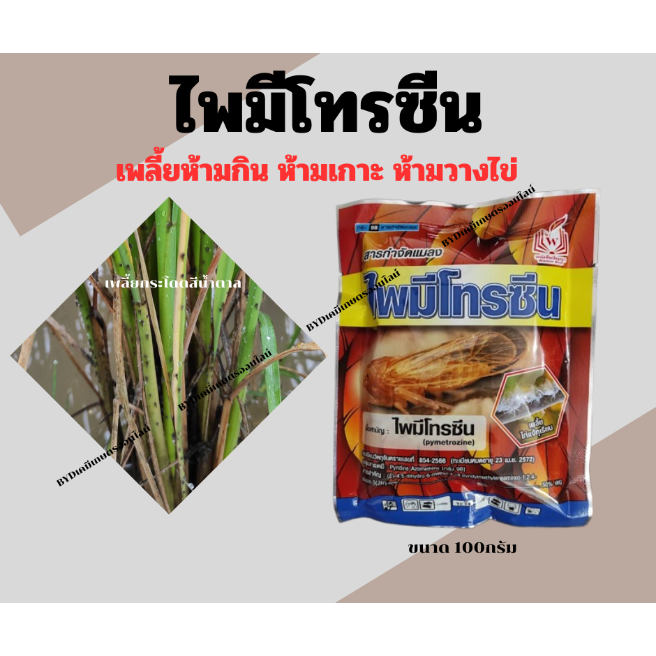 ไพมีโทรซีน ขนาด100กรัม สารไพรมีโทรซีน 50%WG(สารเดียวกับเพลนั่ม) ควบคุมและกำจัดเพลี้ยกระโดดสีน้ำตาลในนาข้าว อย่างเด็ดขาด