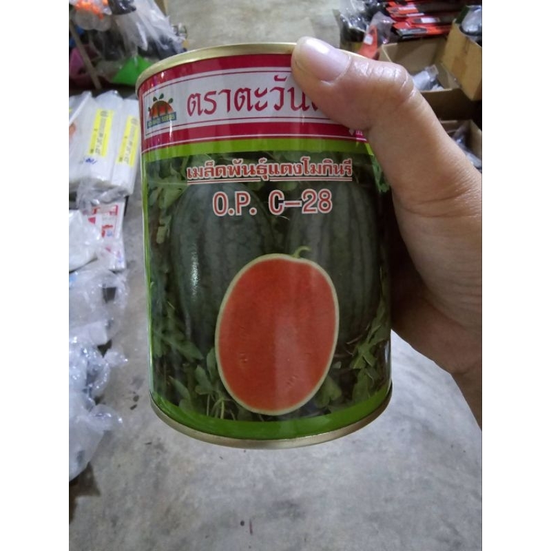 เมล็ดแตงโม กินรี ตราตะวันต้นกล้า ขนาด 250 กรัม หวาน กรอบ แตงโมกินรี C28 O.P