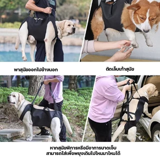【Doglemi】สายรัดพยุงเดินสุนัข เสื้อกั๊กช่วยเดินสุนัขสูงอายุ สำหรับสุนัขบาดเจ็บข้อสะโพกขาหลัง