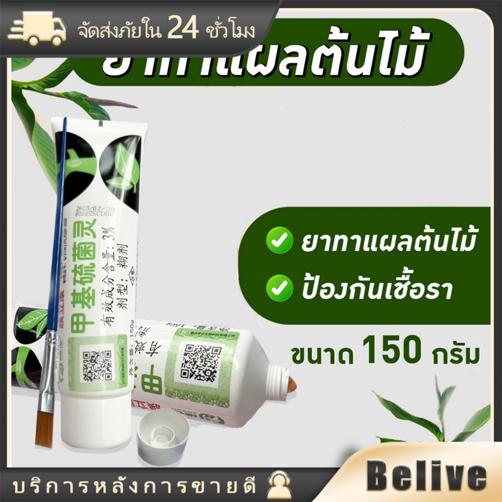ป้องกันการติดเชื้อแบคทีเรียและเชื้อรา 150g ป้องกันเชื้อรา ยาทาแผลต้นไม้ บอนไซ มอนสเตอร่า