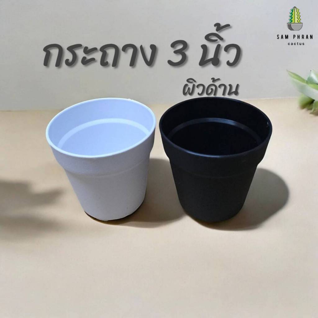 กระถาง 3 นิ้ว ผิวด้าน รูระบายน้ำดี กระถางต้นไม้
