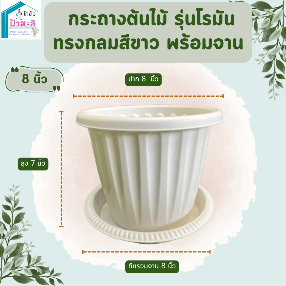 กระถางต้นไม้ รุ่นโรมัน ทรงกลมสีขาว พร้อมจาน ขนาด 8 นิ้ว
